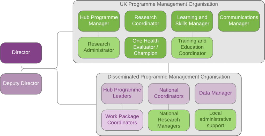 Hub management organogram