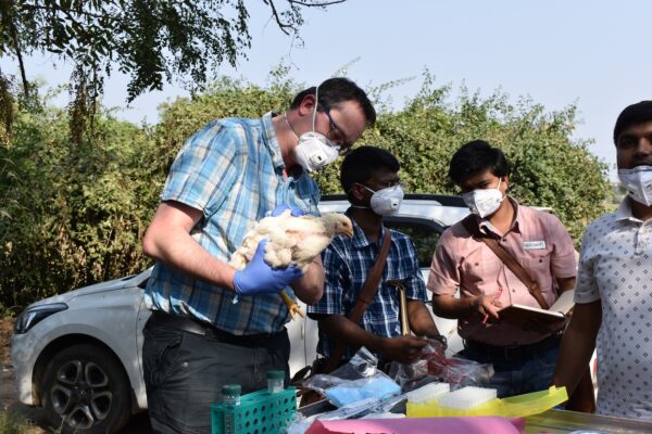 Man in mask holding a chiicken in a mobile lab testing station